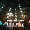 Into u (feat. Stefan Costea) - Single album lyrics, reviews, download