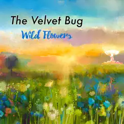 Wild Flowers - Single by The Velvet Bug album reviews, ratings, credits