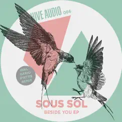Beside You (Remixes) - Single by Sous Sol album reviews, ratings, credits
