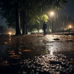 Rain-Kissed Melancholy by Focus Labs album reviews, ratings, credits