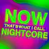 Now That's What I Call Nightcore album lyrics, reviews, download