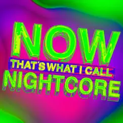 In Heaven They Only Play Nightcore Song Lyrics