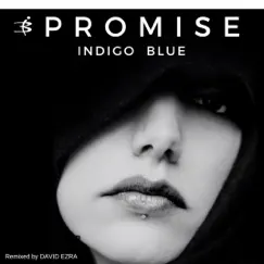 Promise ( David Ezra Remix ) Song Lyrics