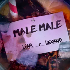 Male Male - Single by LIAM & Lexand album reviews, ratings, credits