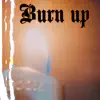 Burn Up - Single album lyrics, reviews, download