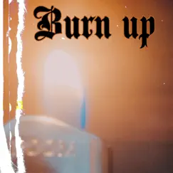 Burn Up - Single by ABSINT album reviews, ratings, credits