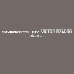 Dígale - Single by Snippets by Victor Pizarro album reviews, ratings, credits