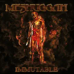 Immutable by Meshuggah album reviews, ratings, credits