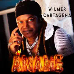 Ámame - Single by Wilmer Cartagena album reviews, ratings, credits