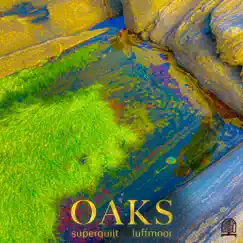 Oaks - Single by Superquilt & luffmoor album reviews, ratings, credits