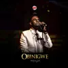 Obinigwe - Single album lyrics, reviews, download