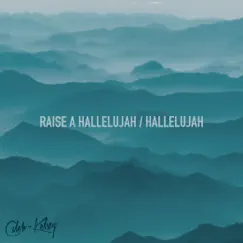 Raise a Hallelujah / Hallelujah - Single by Caleb and Kelsey album reviews, ratings, credits
