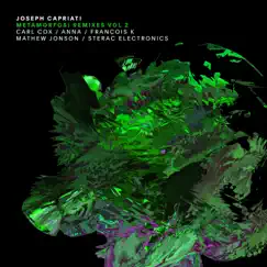 Metamorfosi Remixes Vol. 2 by Joseph Capriati album reviews, ratings, credits