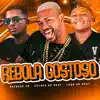 Rebolo Gostoso - Single album lyrics, reviews, download