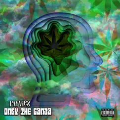 Only the Ganja - Single by Payvics album reviews, ratings, credits
