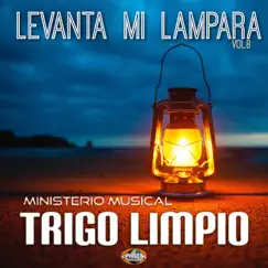 Levanta mi Lámpara by Ministerio Musical Trigo Limpio album reviews, ratings, credits