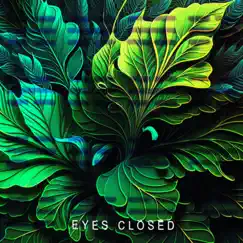 Eyes Closed - Single by SNEEK album reviews, ratings, credits
