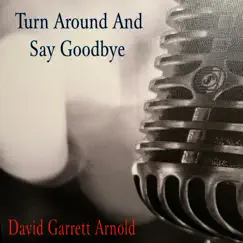 Turn Around and Say Goodbye (feat. The Donny Hammonds Band) - Single by David Garrett Arnold album reviews, ratings, credits