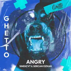 Angry - Single by SINDICVT & Sercan Ozkan album reviews, ratings, credits