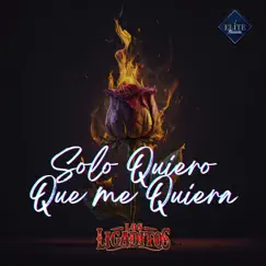Solo Quiero Que Me Quiera - Single by Los Ligaditos album reviews, ratings, credits