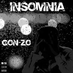 Insomnia (feat. Slugga Lyricist) Song Lyrics