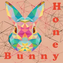 Thunder Tech - EP by Techno Mama & Honey Bunny album reviews, ratings, credits