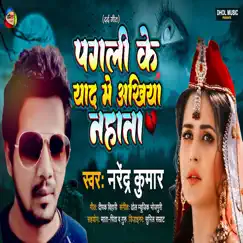 Pagali Ke Yaad Me Akhiya Nahata - Single by Narendra Kumar album reviews, ratings, credits