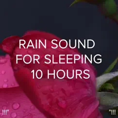 Soothing Rain for Crying Babies Song Lyrics