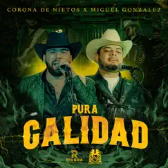 Pura Calidad - Single by Corona de Nietos & Miguel Gonzalez album reviews, ratings, credits