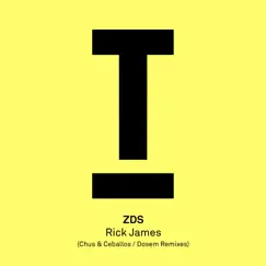 Rick James (Dosem Remix) Song Lyrics