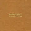 Amazing Grace - Single album lyrics, reviews, download