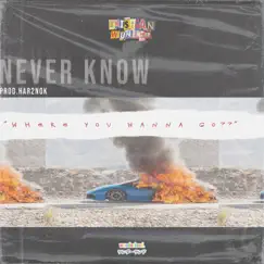 Never Know - Single by Tristian Wunder album reviews, ratings, credits