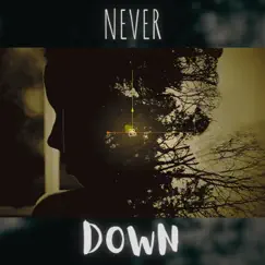 Never Down by Negto Star album reviews, ratings, credits