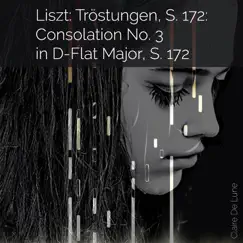 Liszt: Tröstungen, S. 172: Consolation No. 3 in D-Flat Major, S. 172 Song Lyrics
