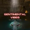 Sentimental Vibes - Single album lyrics, reviews, download