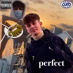 Perfect - Single by Curo album reviews, ratings, credits