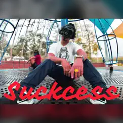 Suckcess - Single by RedHookNoodles Beats album reviews, ratings, credits