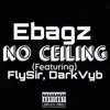 No Ceiling (feat. FlySir & DarkVyb) - Single album lyrics, reviews, download