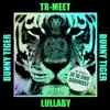 Lullaby (BadWolf Remix) - Single album lyrics, reviews, download