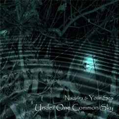 Under One Common Sky - Single by Nao/ra & Your Sea album reviews, ratings, credits
