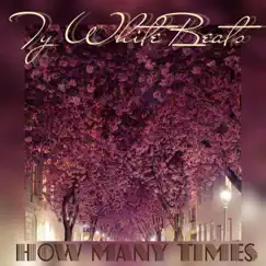 How Many Times... - Single by Ty White Beats album reviews, ratings, credits