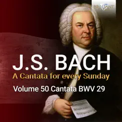 J.S. Bach: Wir danken dir Gott, wir danken dir, BWV 29 by Netherlands Bach Collegium & Pieter Jan Leusink album reviews, ratings, credits
