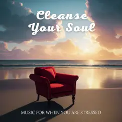 Cleanse Your Soul - Music for When You Are Stressed by Inside Your Soul album reviews, ratings, credits
