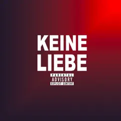Keine Liebe (feat. drawis) Song Lyrics