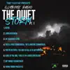 That'z Illy Ent Presents Illyboyz Radio the Quiet Storm, Pt. 1 (HD Quality) album lyrics, reviews, download