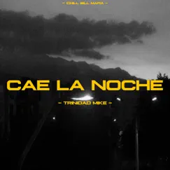 Cae La Noche - Single by Trinidad Mike album reviews, ratings, credits