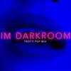 Im Darkroom (Troy's Pop Mix) - Single album lyrics, reviews, download