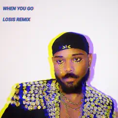 When You Go (feat. Cmaze) [Losis Remix] [Losis Remix] - Single by Losis album reviews, ratings, credits