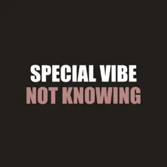 Not Knowing - Single by Special Vibe album reviews, ratings, credits