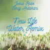 New Life (Water Remix) [Water Remix] - Single album lyrics, reviews, download